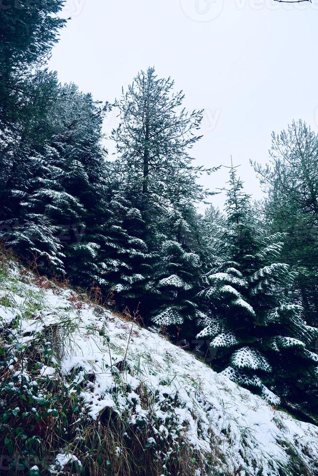 snö i berget under vintersäsongen foto