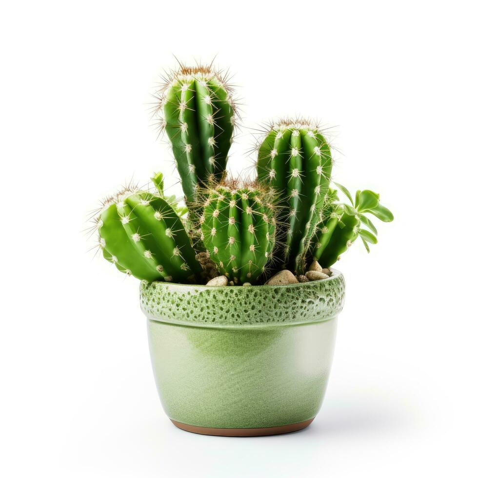 ai genererad kaktus i en pott. stock bild för dekorera en scen eller bakgrund. foto