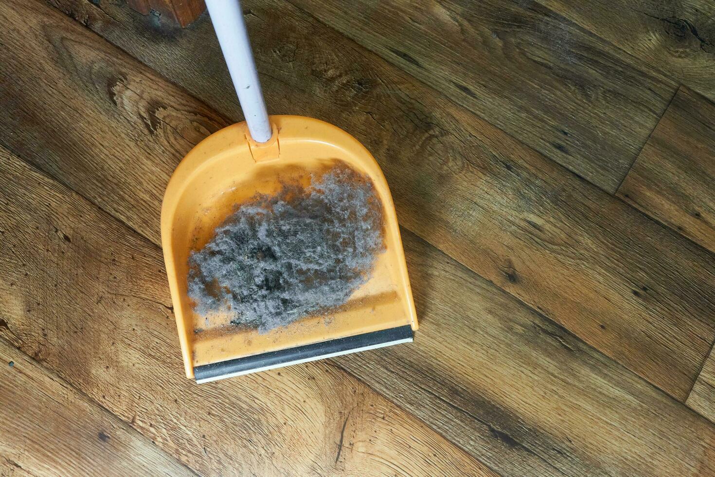 en näve av sopor med hår samlade in i en sopskyffel medan rengöring de hus. foto