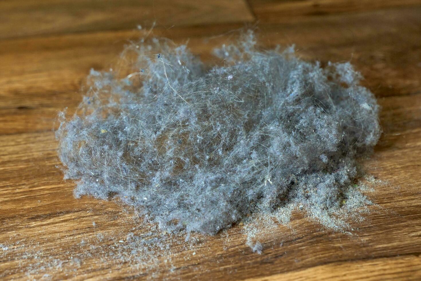 en lugg av damm, smuts och hår lögner på en trä- golv under rengöring. foto