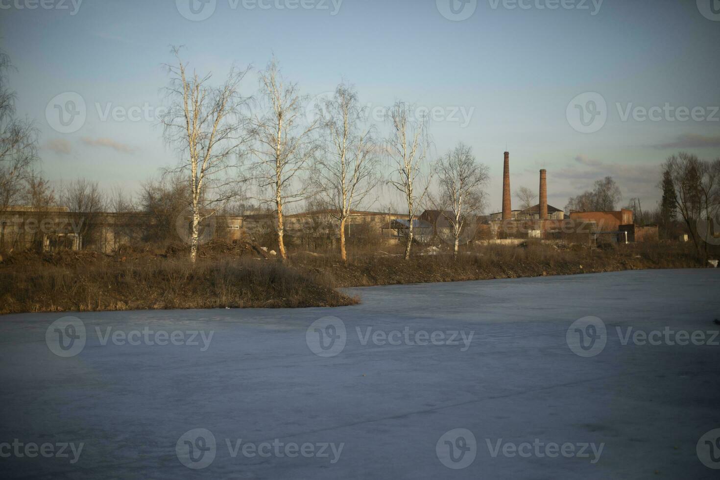 se av sjö. landskap med växt. is på sjö. foto