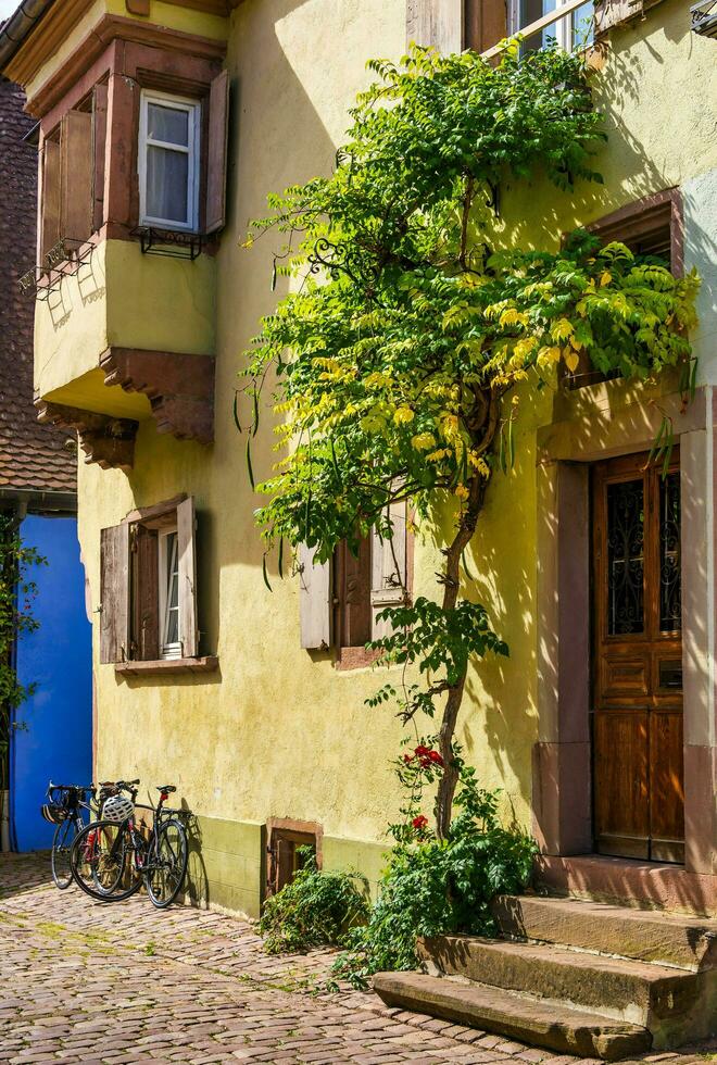 landskap av Alsace område i Frankrike foto