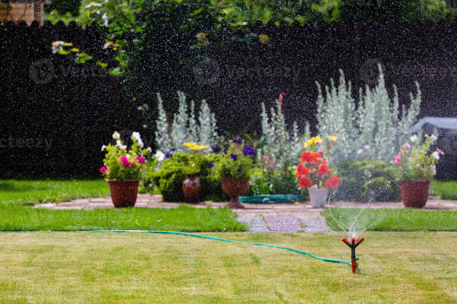 trädgårdssprinkler vattna gräs och blommor foto