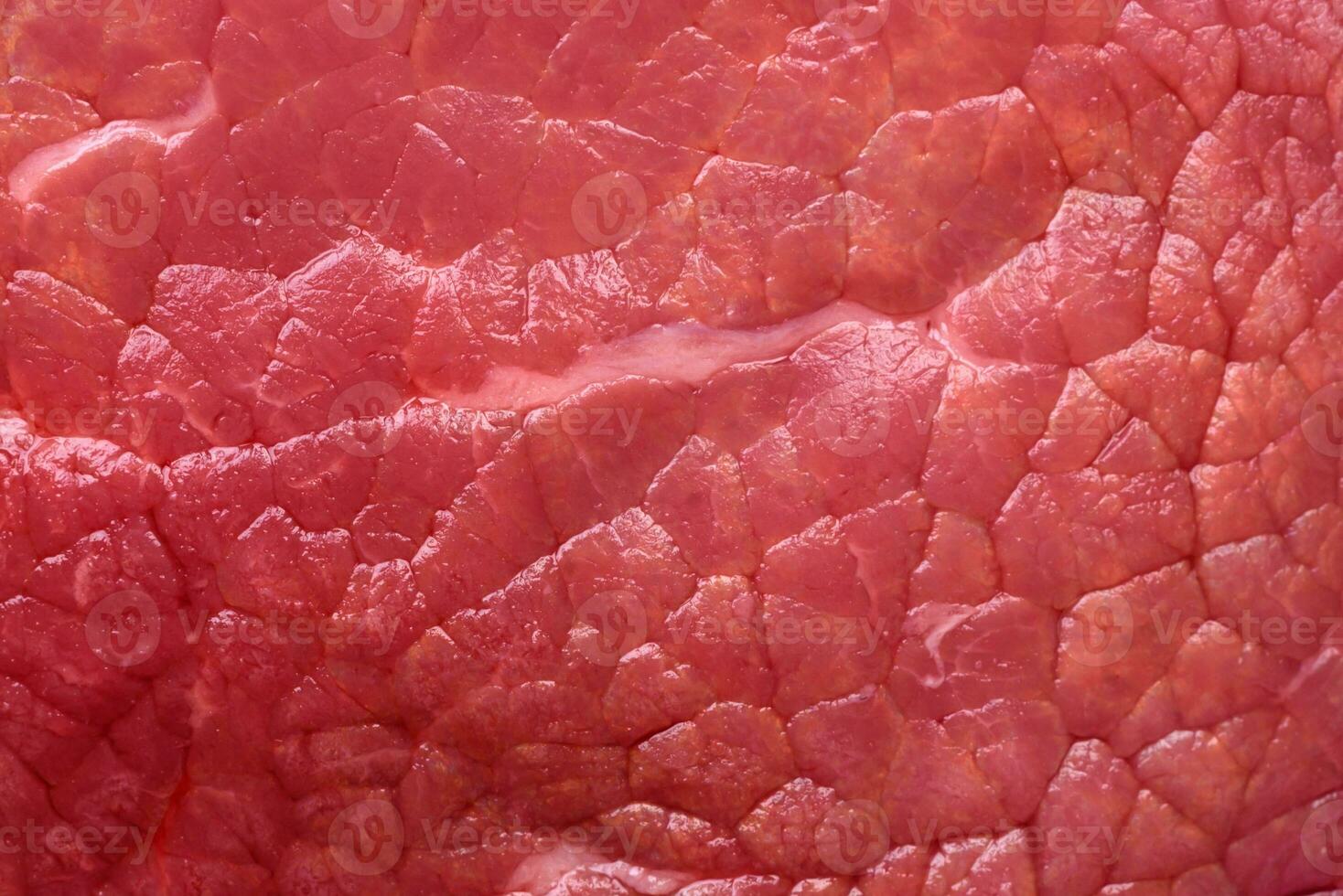 rå nötkött öga biff runda med salt, kryddor och örter foto