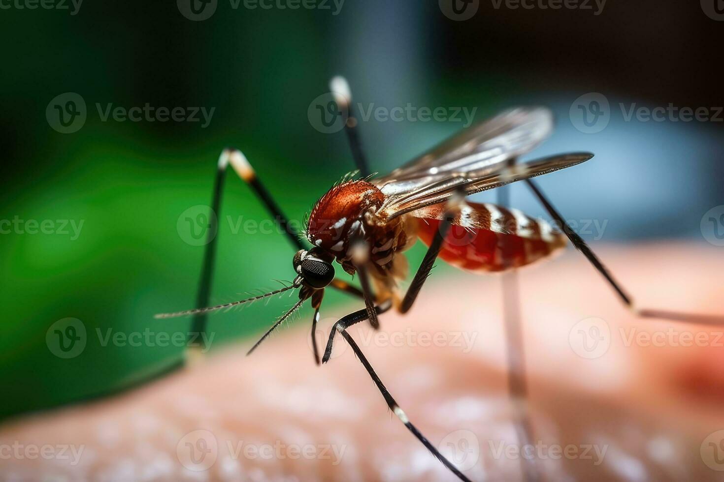 mygga sugande mänsklig blod profesional fotografi ai genererad foto
