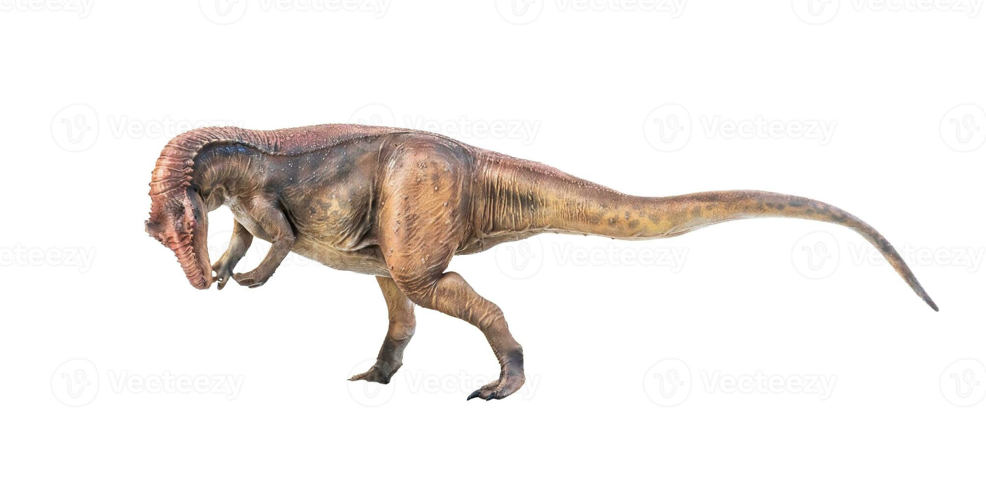 dinosaurie , allosaurus på isolerat bakgrund foto