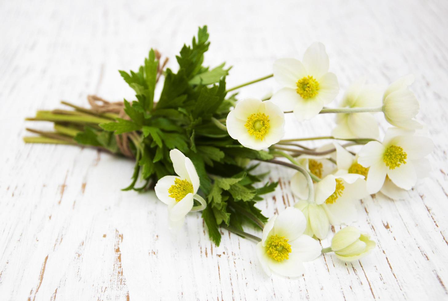 anemone blommor på ett bord foto