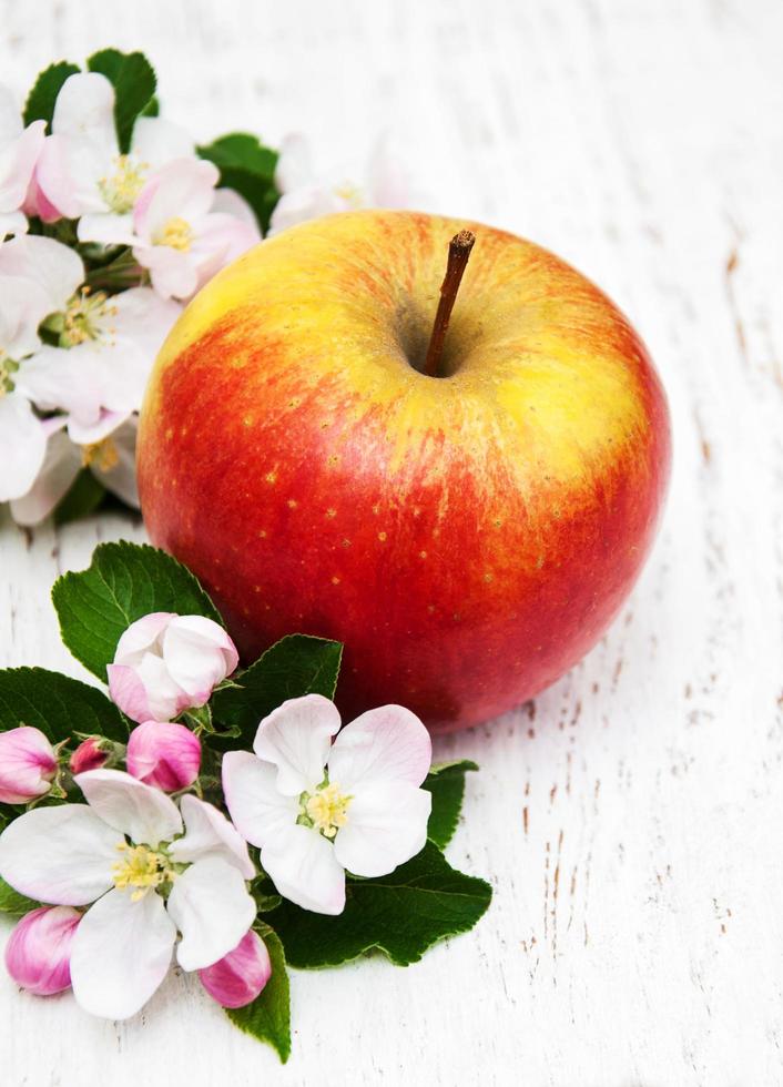 äpple och äppelträd blommar på en trä bakgrund foto