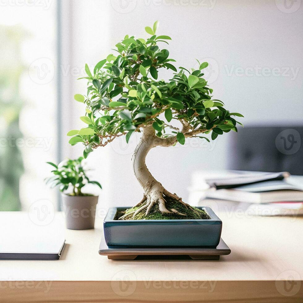 bonsai salighet nybörjare handbok med fängslande vit bakgrund fotografera av ficus bonsai foto