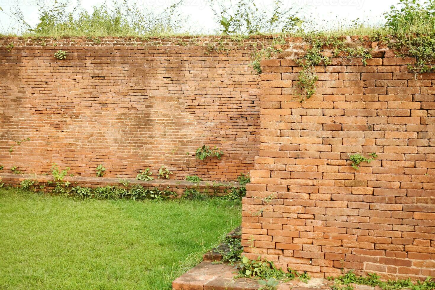 ruiner av nalanda universitet foto