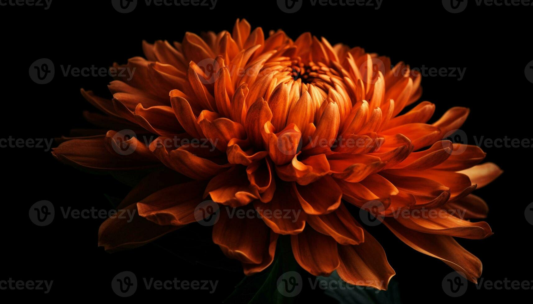 vibrerande färger av natur bukett dahlia, krysantemum, gerbera daisy genererad förbi ai foto