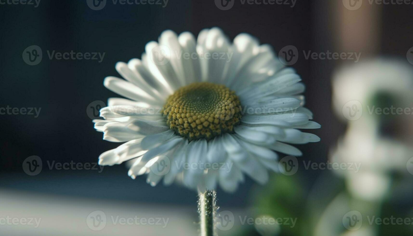 gul daisy blomma i lugn äng, skönhet i natur genererad förbi ai foto