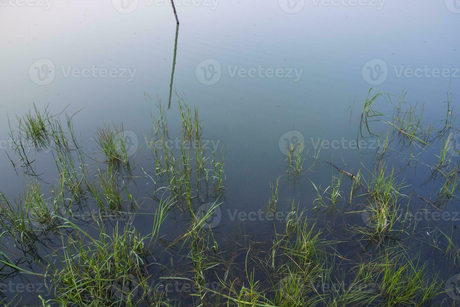 sjö vatten med grön gräs landskap se av under de blå himmel foto