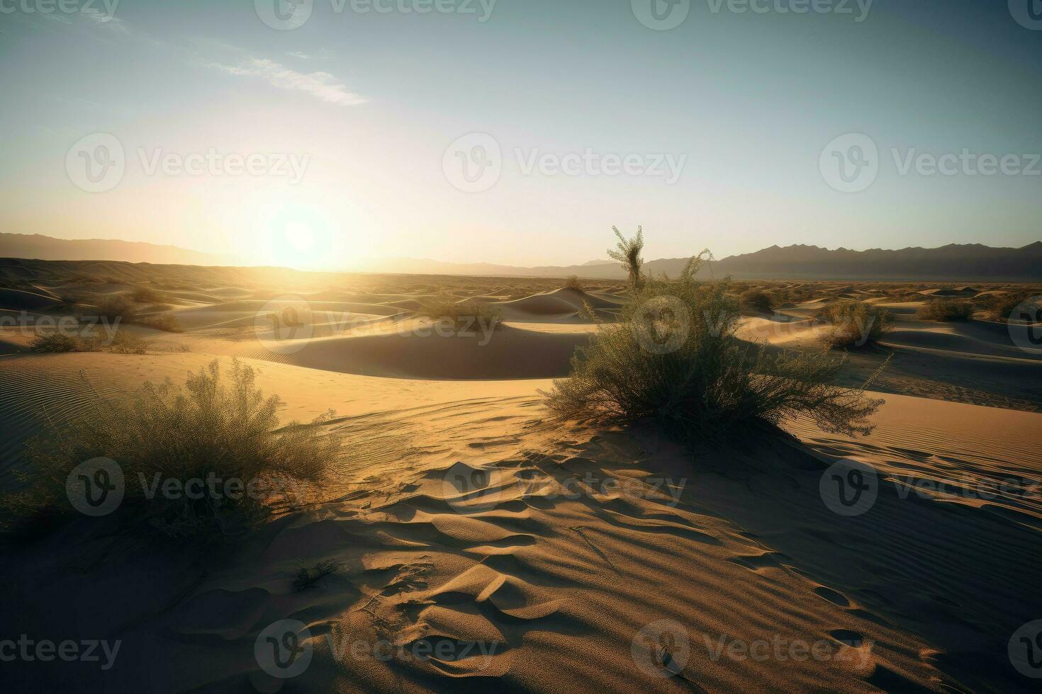 ai genererad ödslig öken- på gryning, terar en höga sand dyn med vindpinad åsar och en ensam kaktus stående vakt i de distans. foto