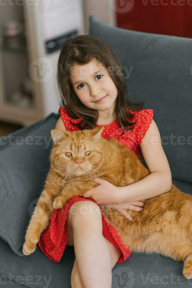 skön flicka i en röd klänning innehar henne älskad röd brittiskt katt i henne vapen foto