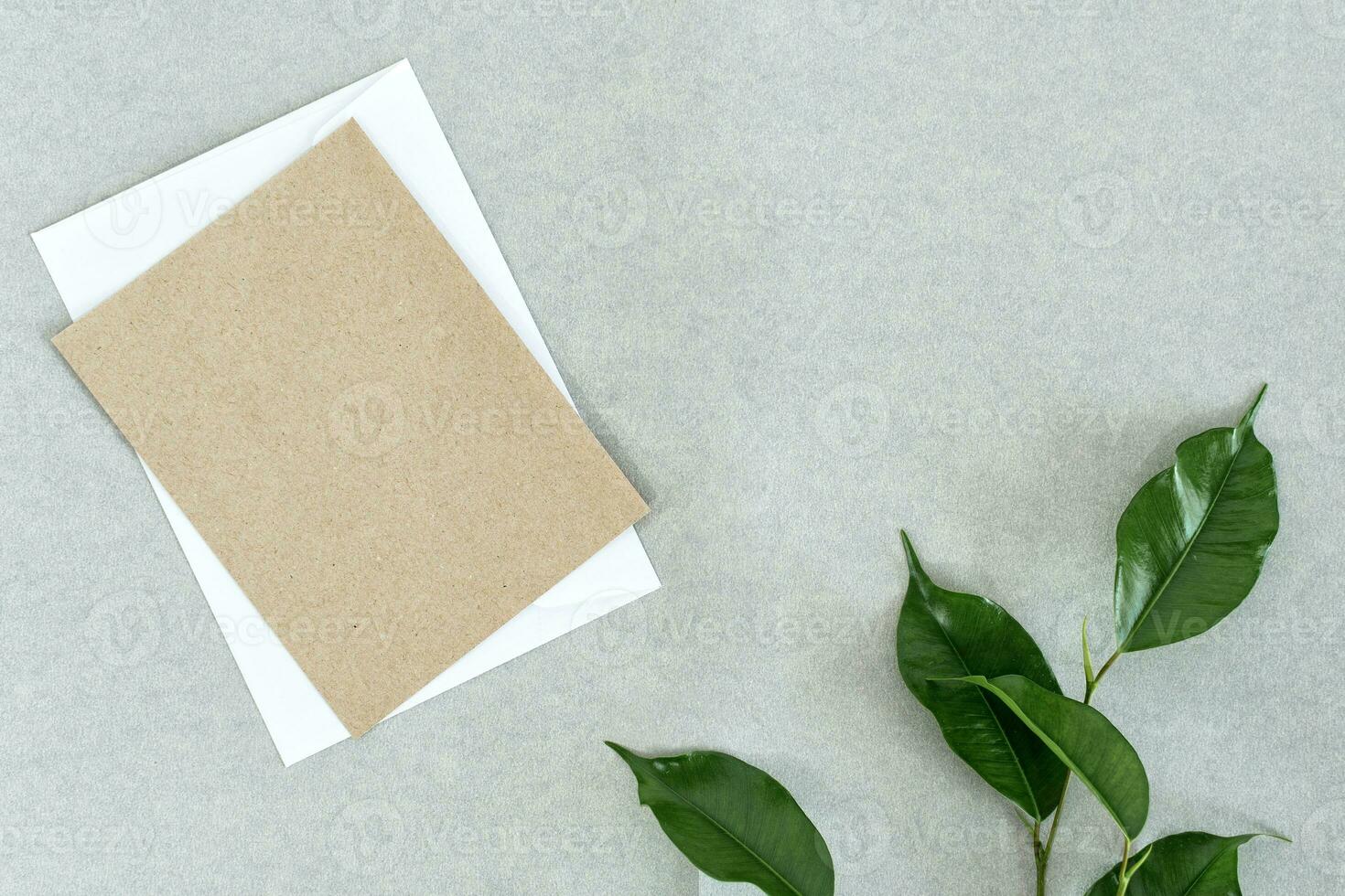 attrapp kort med växt, inbjudan kort med kuvert på grå bakgrund. foto