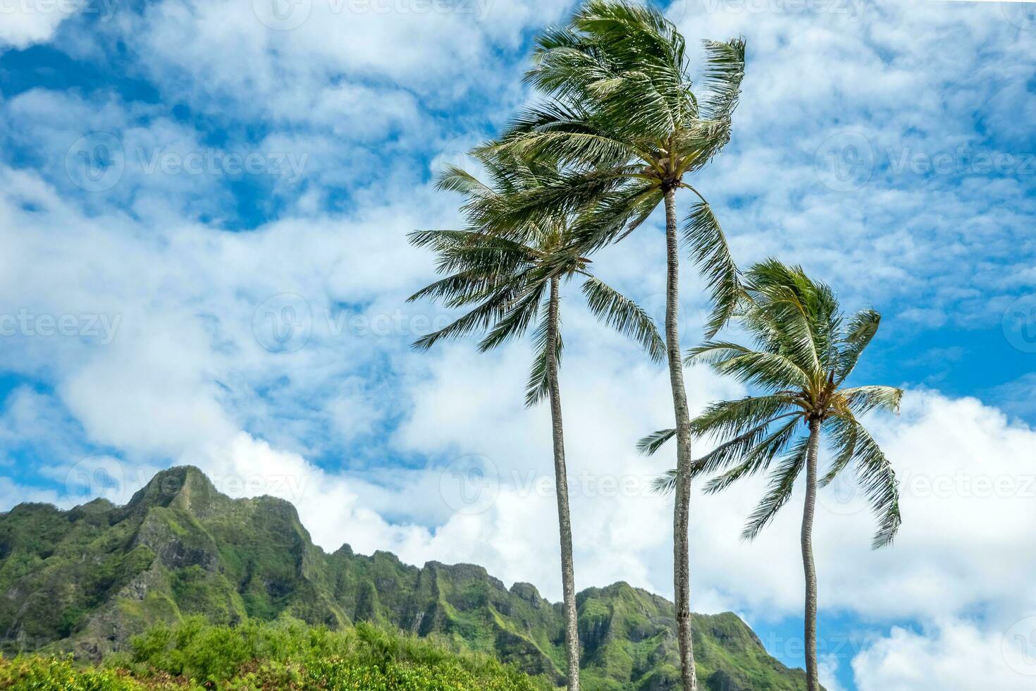 kualoa berg räckvidd panorama- se, känd filmning plats på oahu ö, hawaii foto