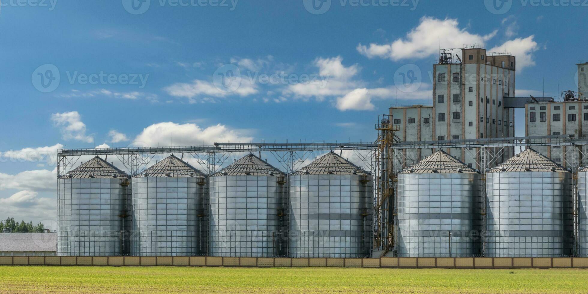 agro silos på agroindustriell komplex och spannmål torkning och frön rengöring linje. foto