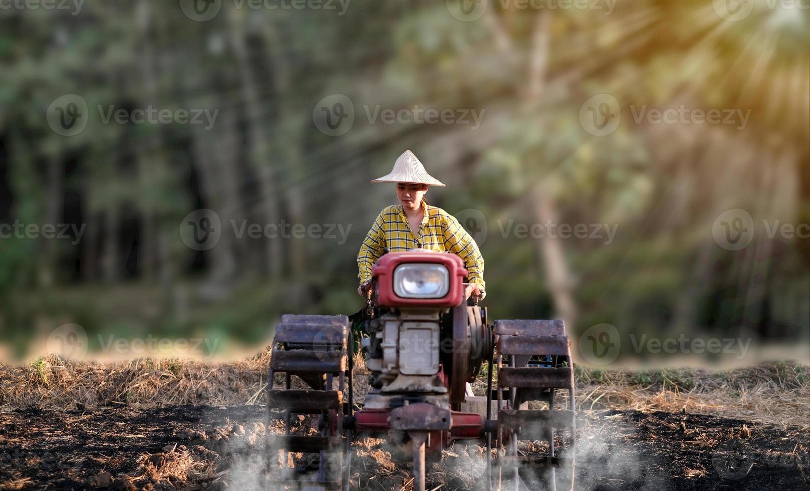 kvinnabonde som använder den gåande traktorn för att plöja för risväxt i regnigt foto