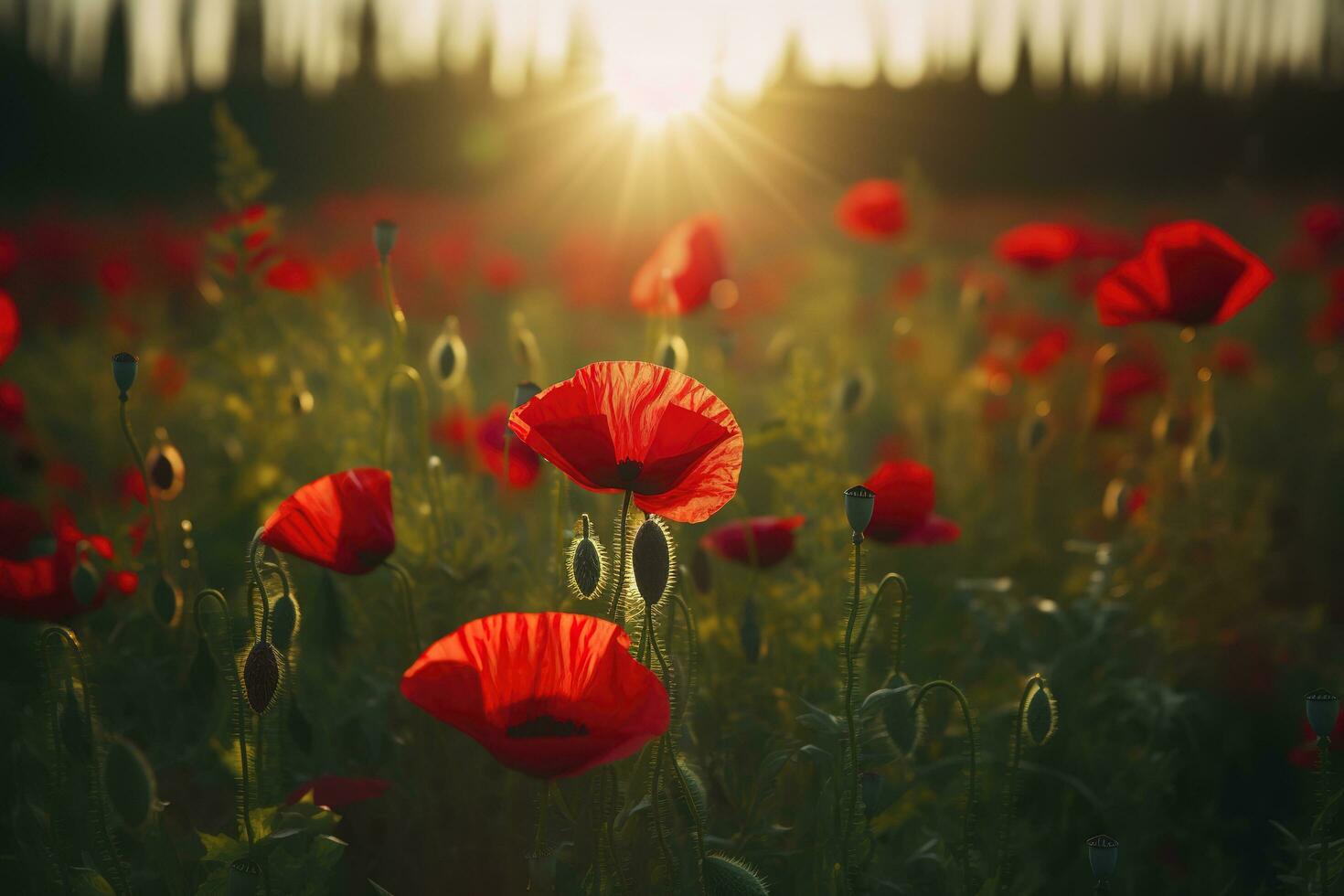 anzac dag minnesmärke vallmo. fält av röd vallmo blommor till hedra fallen veteraner soldater i slåss av anzac vapenstillestånd dag. vild blomning vallmo fält landskap, generera ai foto