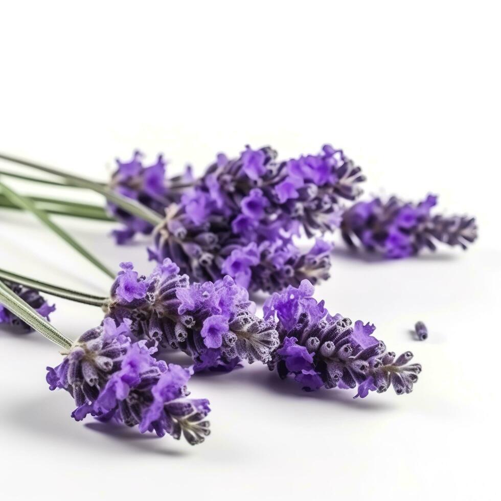 skön lavendel- blommor på vit bakgrund, generera ai foto