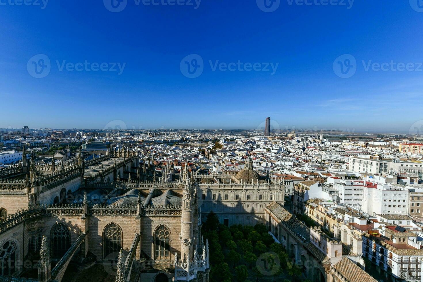 katedral av st. mary av de ser av sevilla - Spanien foto