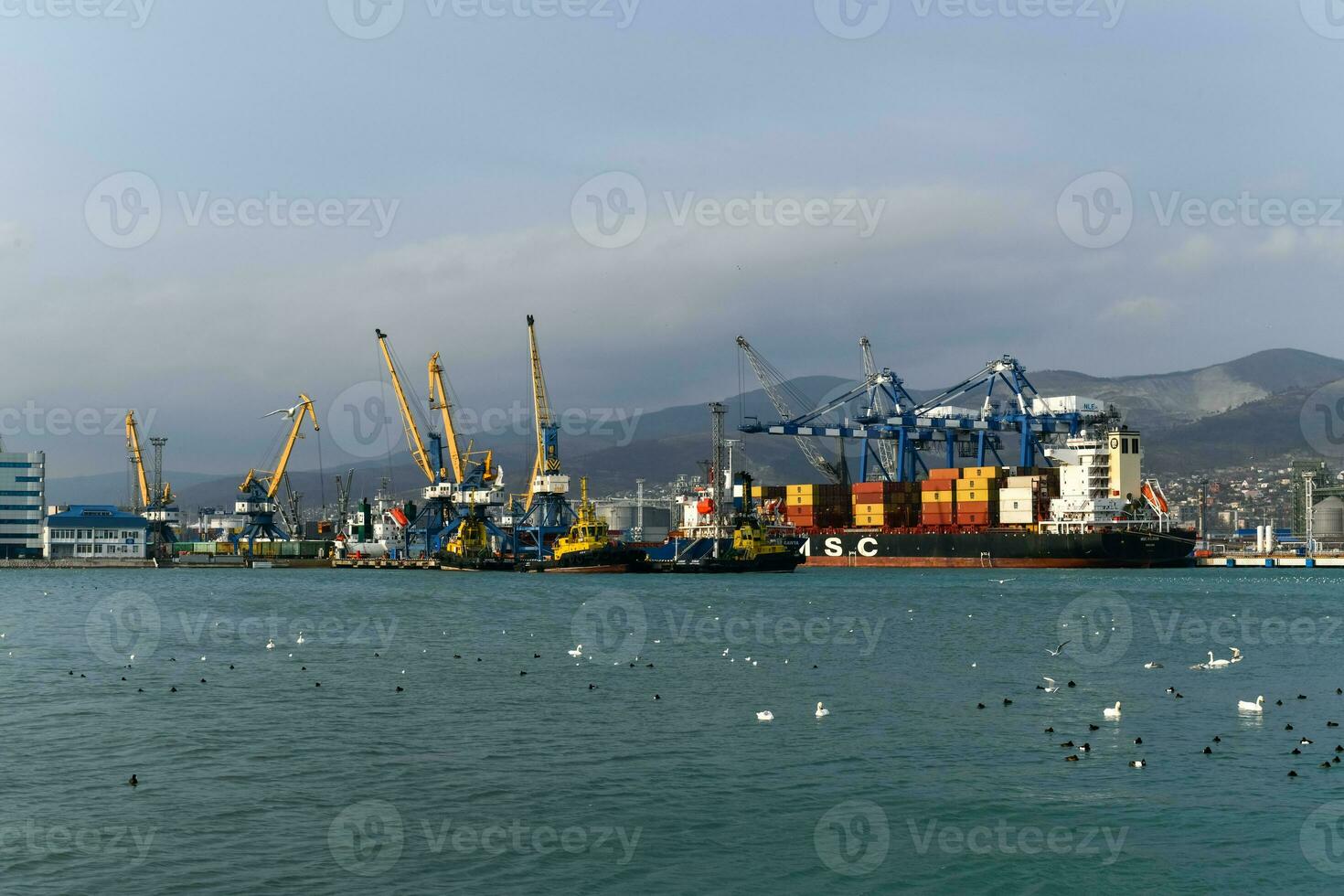 hamn av novorossiysk foto