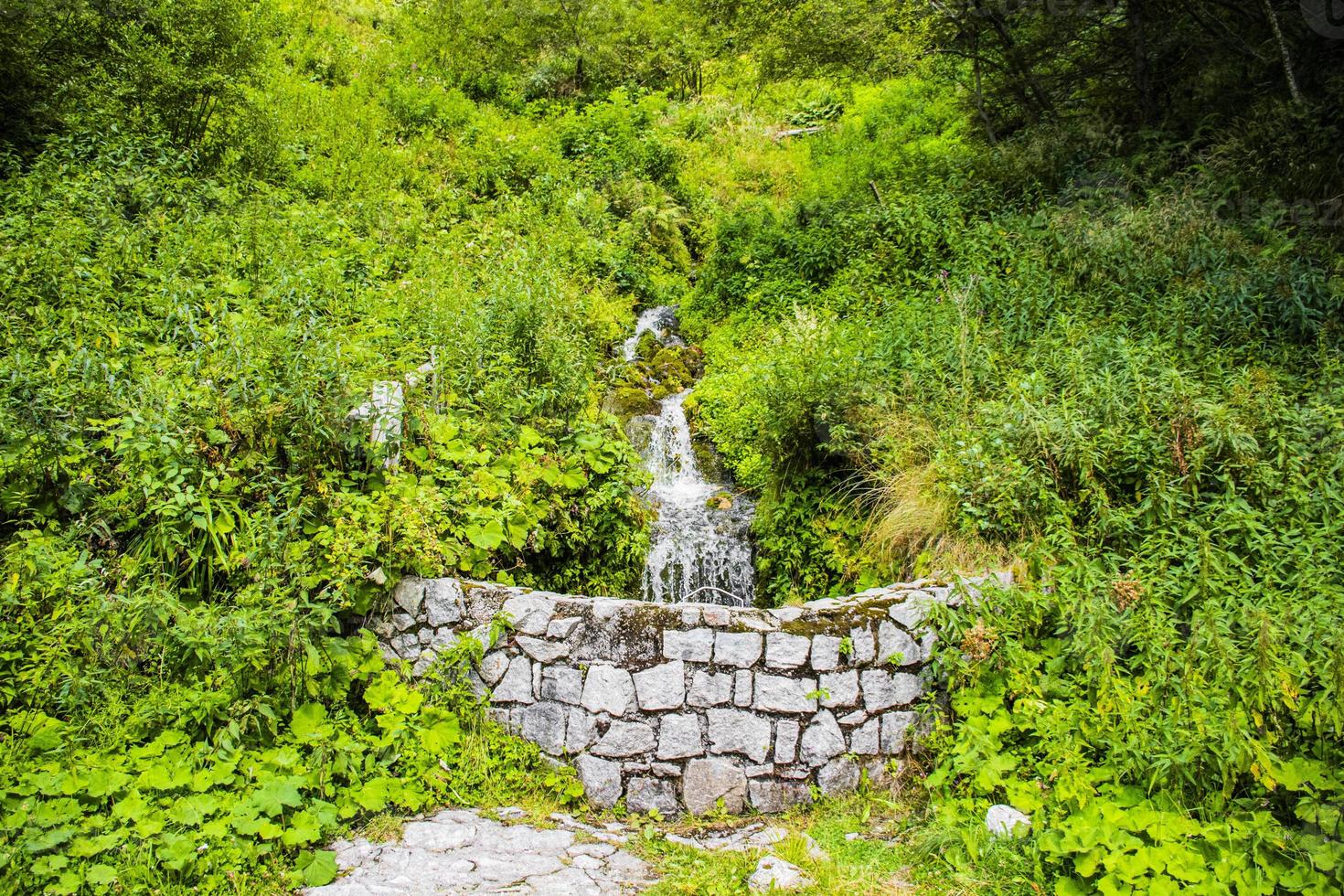 liten kaskad i skogen foto