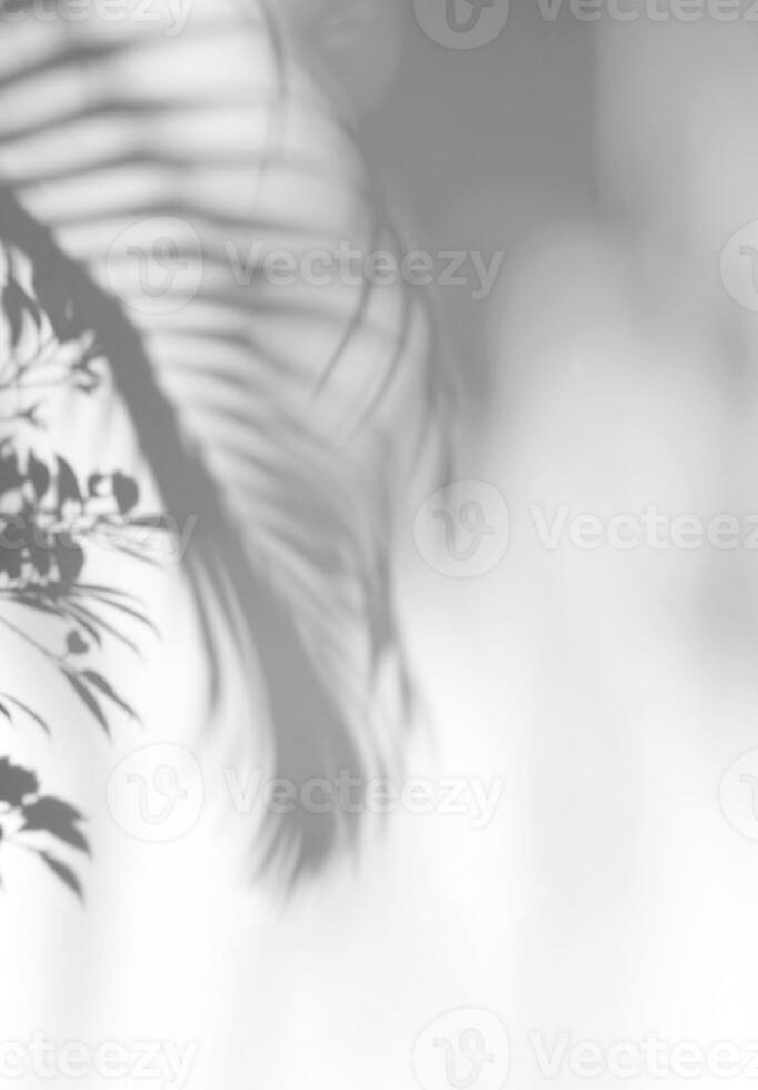 löv naturlig skugga täcka över på vit textur bakgrund vertikal stil, för täcka över på produkt presentation, bakgrund och attrapp foto