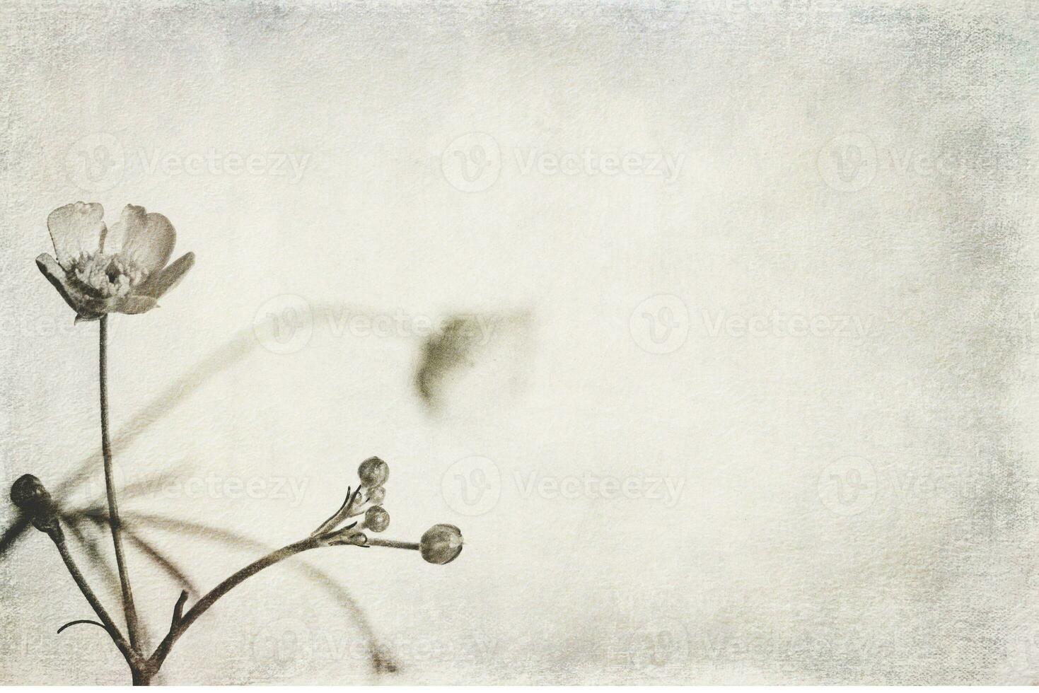 små original- delikat fri fält blommor på en ljus bakgrund foto