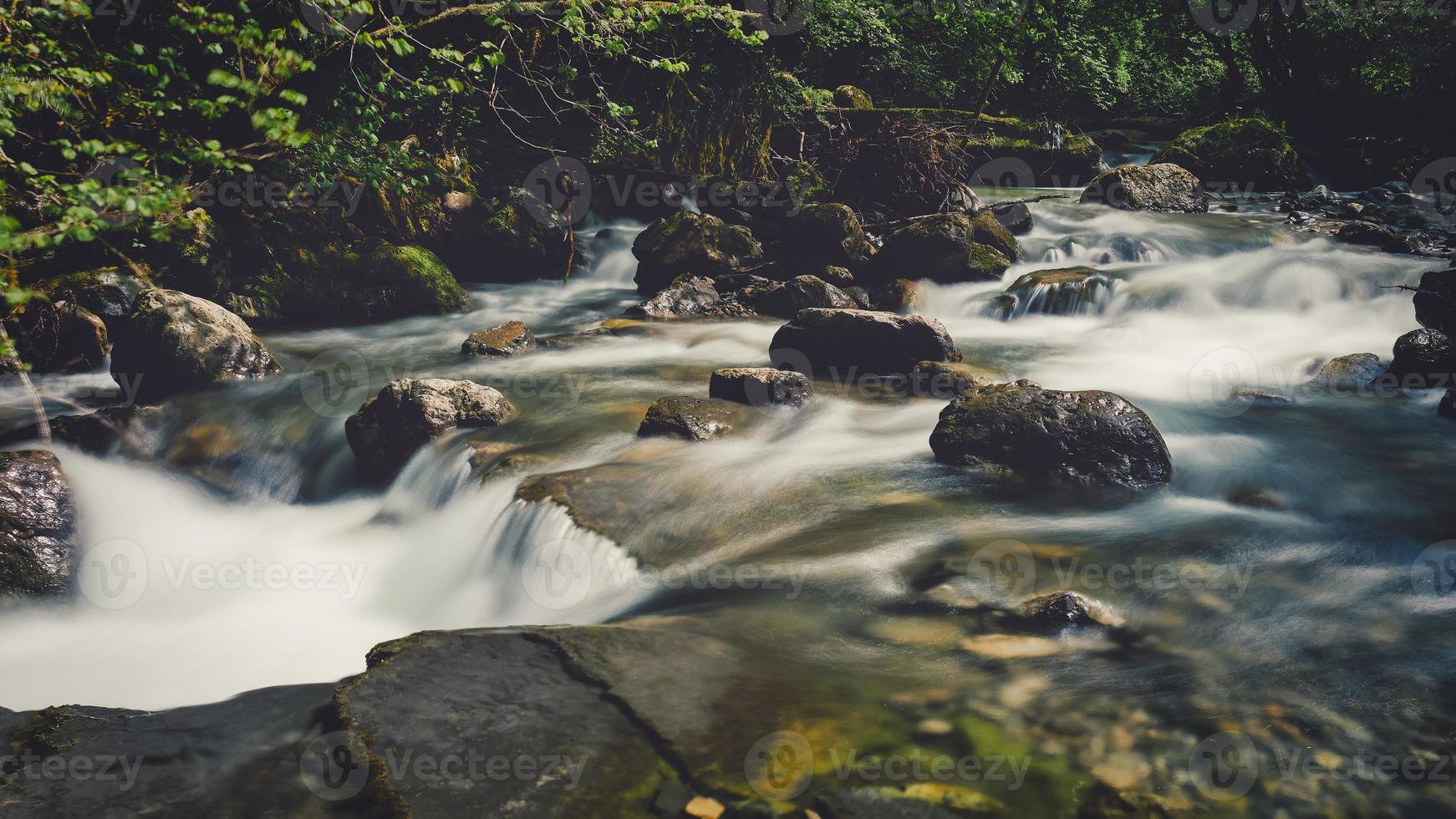 liten flod i en skog med stenar foto