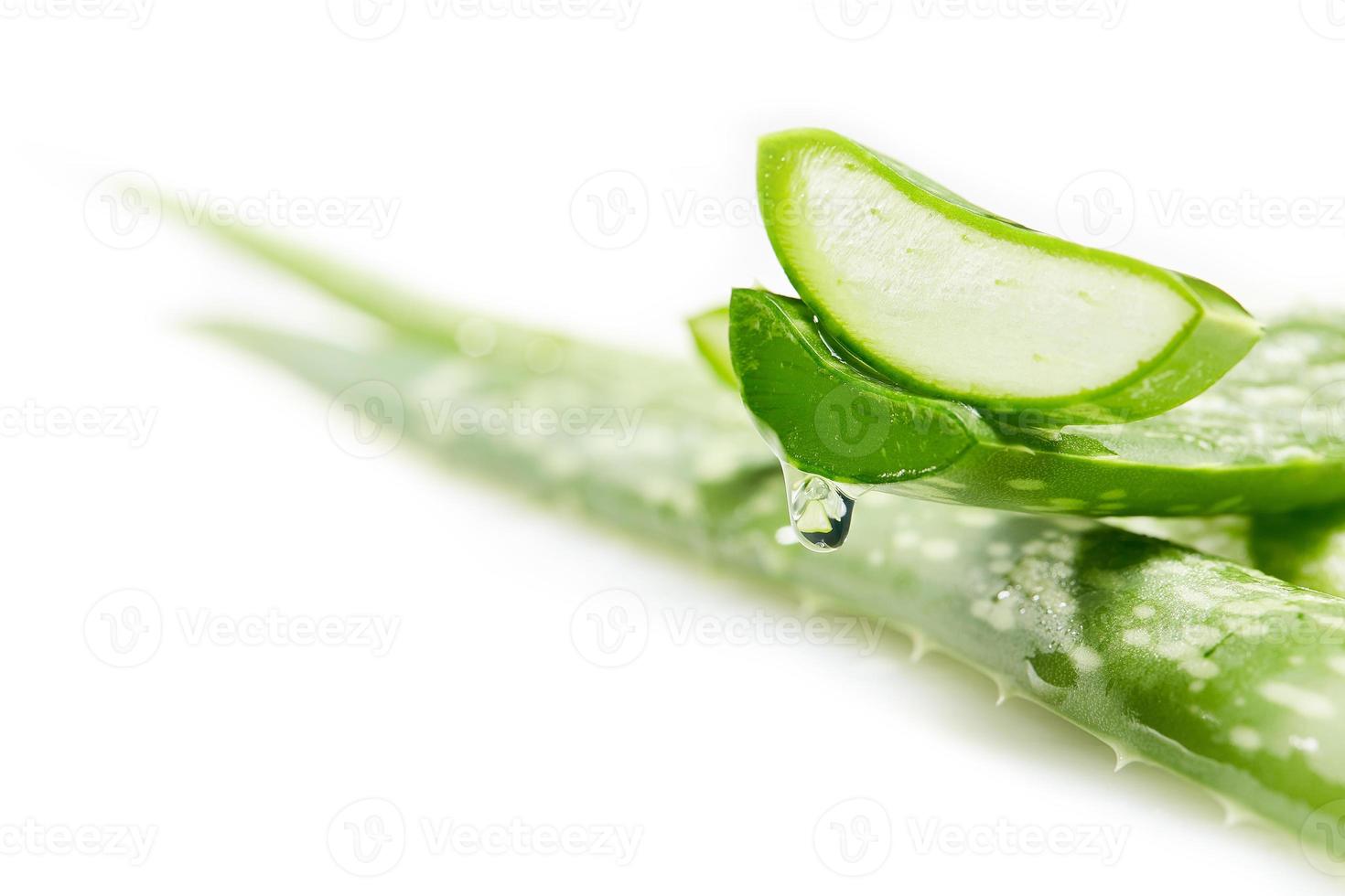 aloe vera gel droppar från aloe vera skiva foto