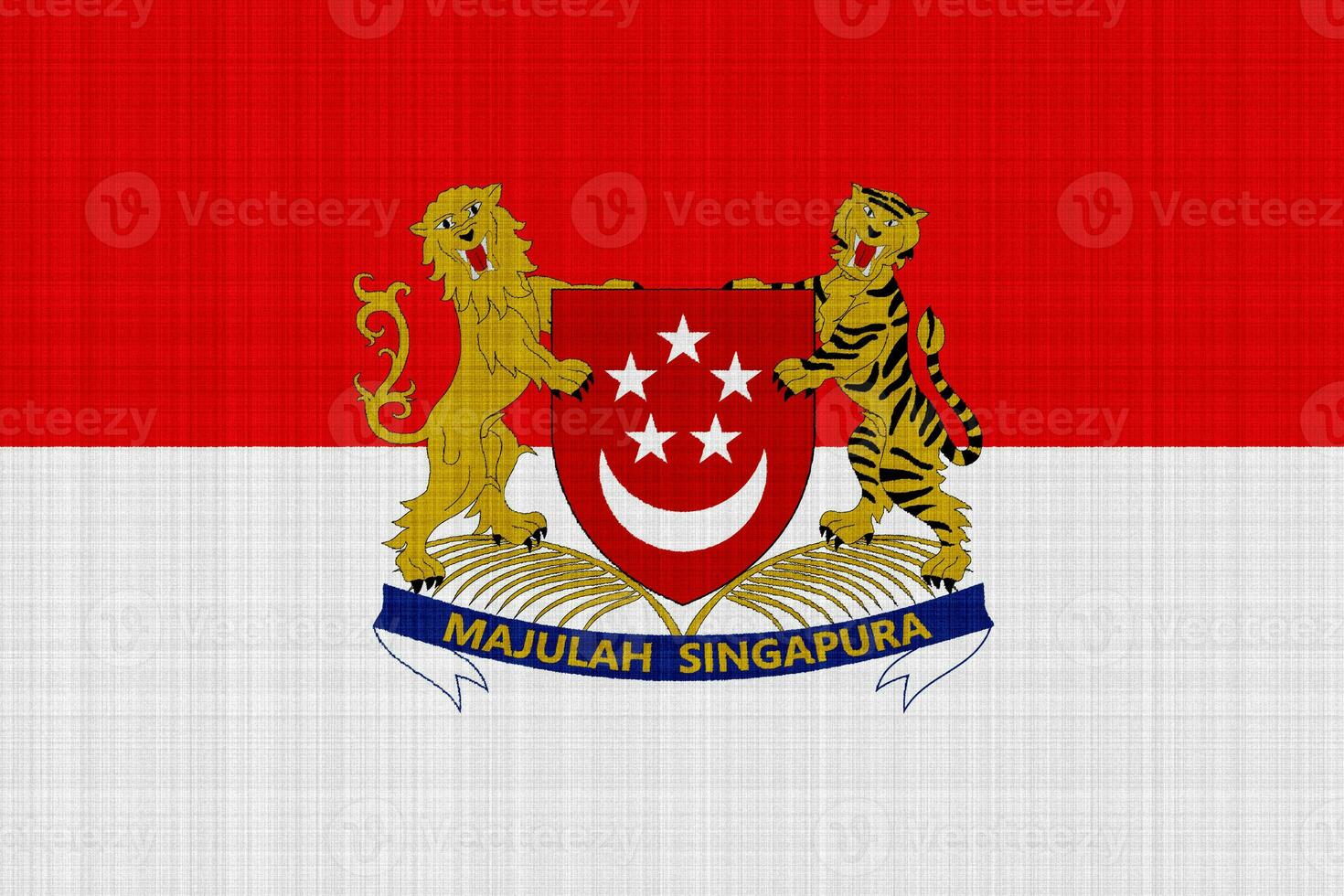 flagga av singapore på en texturerad bakgrund. begrepp collage. foto