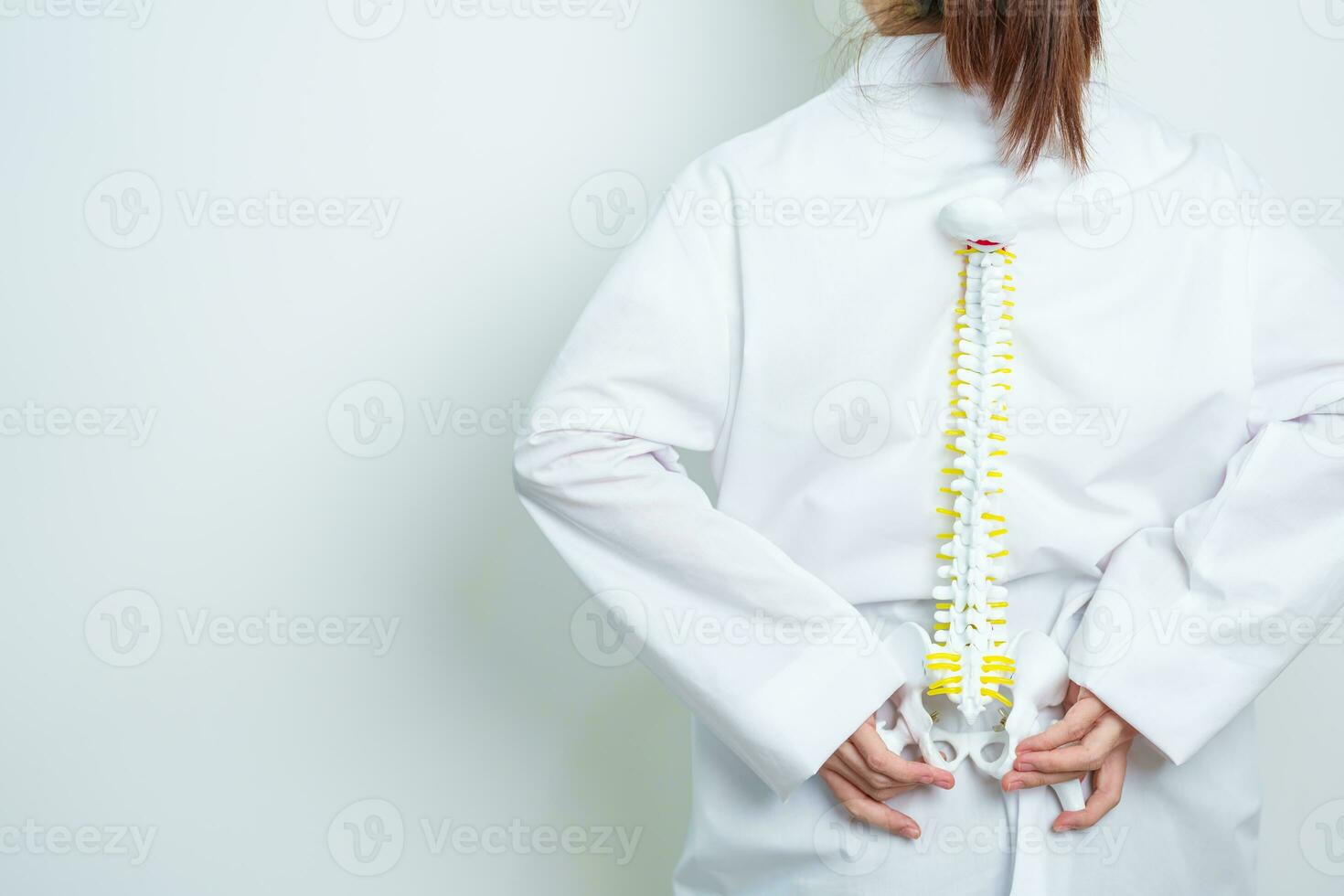 läkare med mänsklig ryggrad anatomi modell. spinal sladd oordning och sjukdom, tillbaka smärta, länd, sacral bäcken, cervical nacke, bröstkorg, coccyx, ortoped, kiropraktik, kontor syndrom och hälsa foto