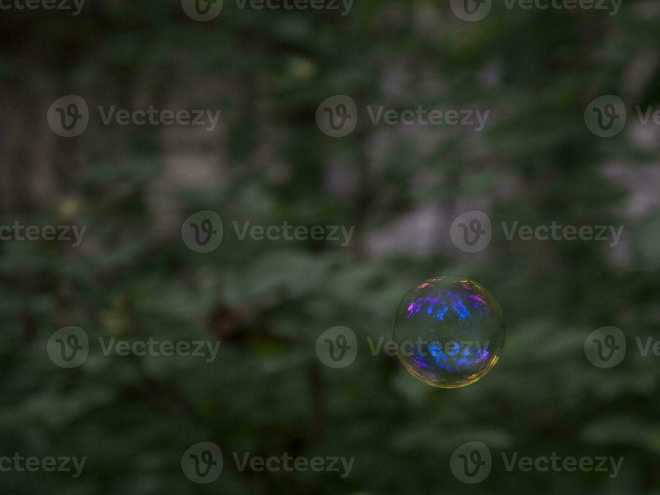 färgrik regnbåge tvål bubbla på de bakgrund av grön träd utanför foto
