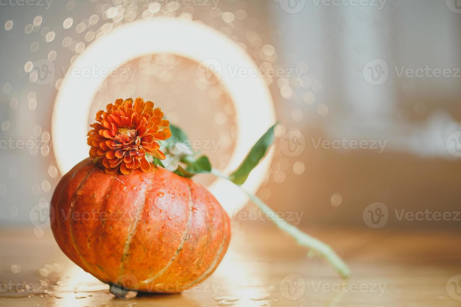 höstkomposition av pumpor och blommor foto