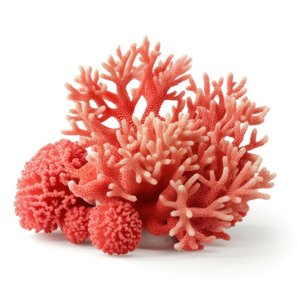 korall rev isolerat. illustration ai generativ foto