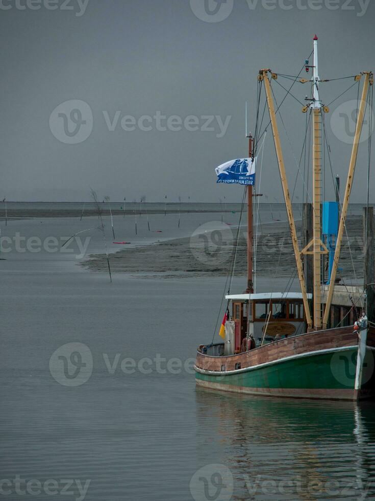 spiekeroog i de tysk norr hav foto