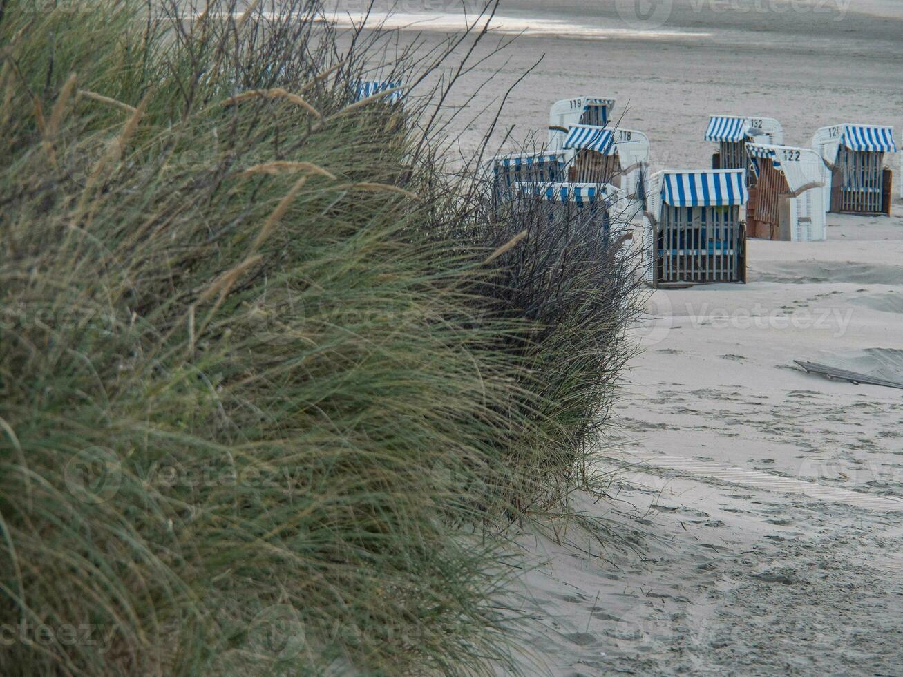 ön spiekeroog foto