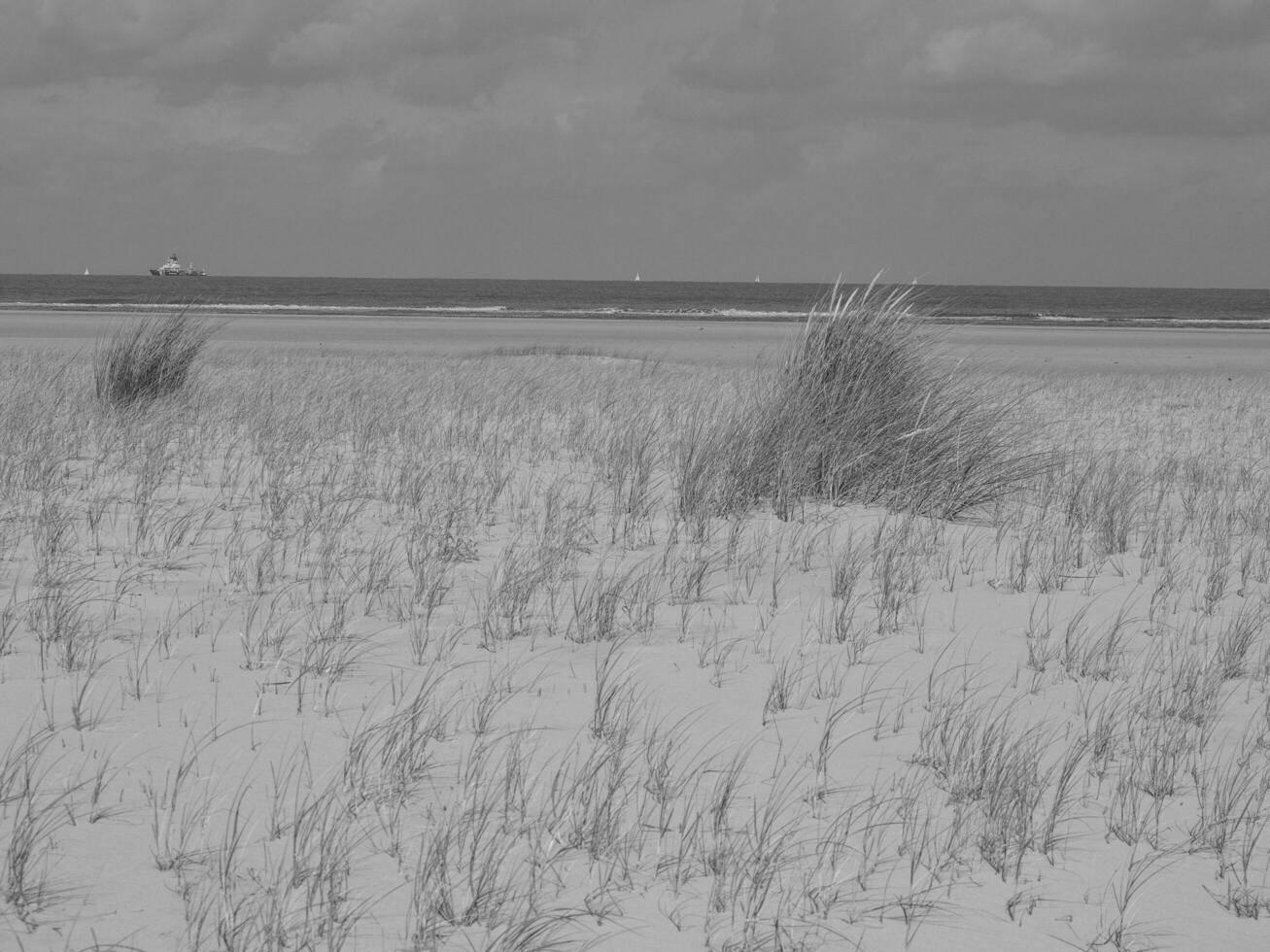 ön spiekeroog i tyskland foto