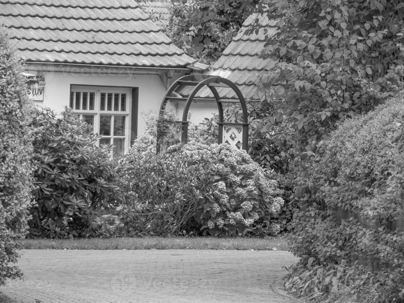 ön spiekeroog i tyskland foto