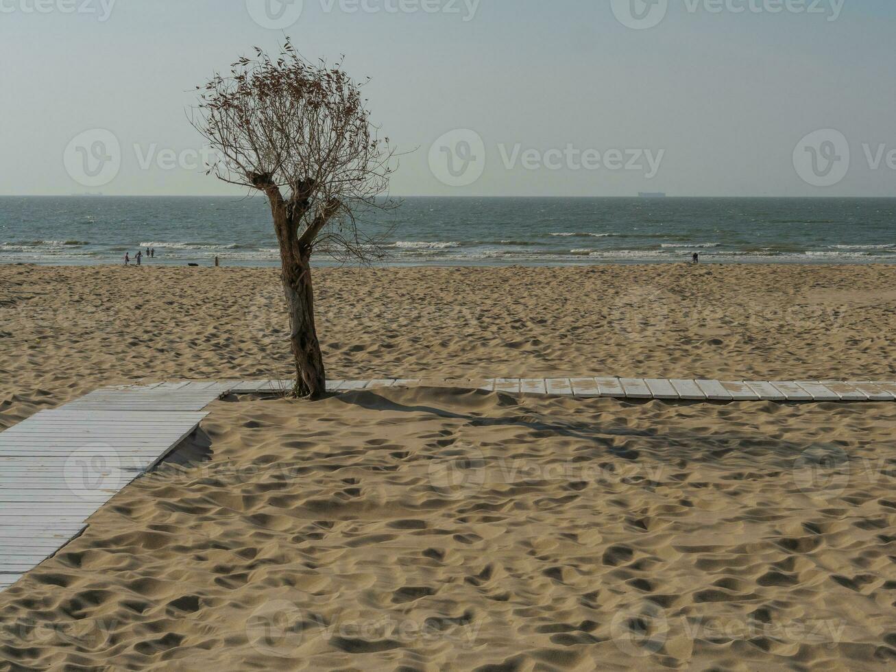 de haan stad i belgien foto