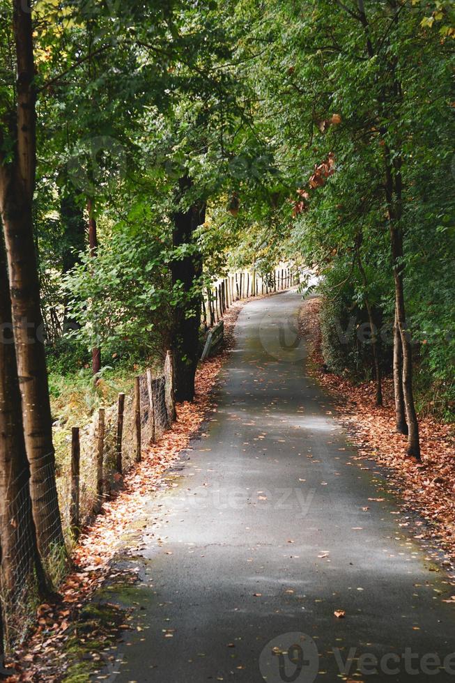 väg i berget under vårsäsongen foto