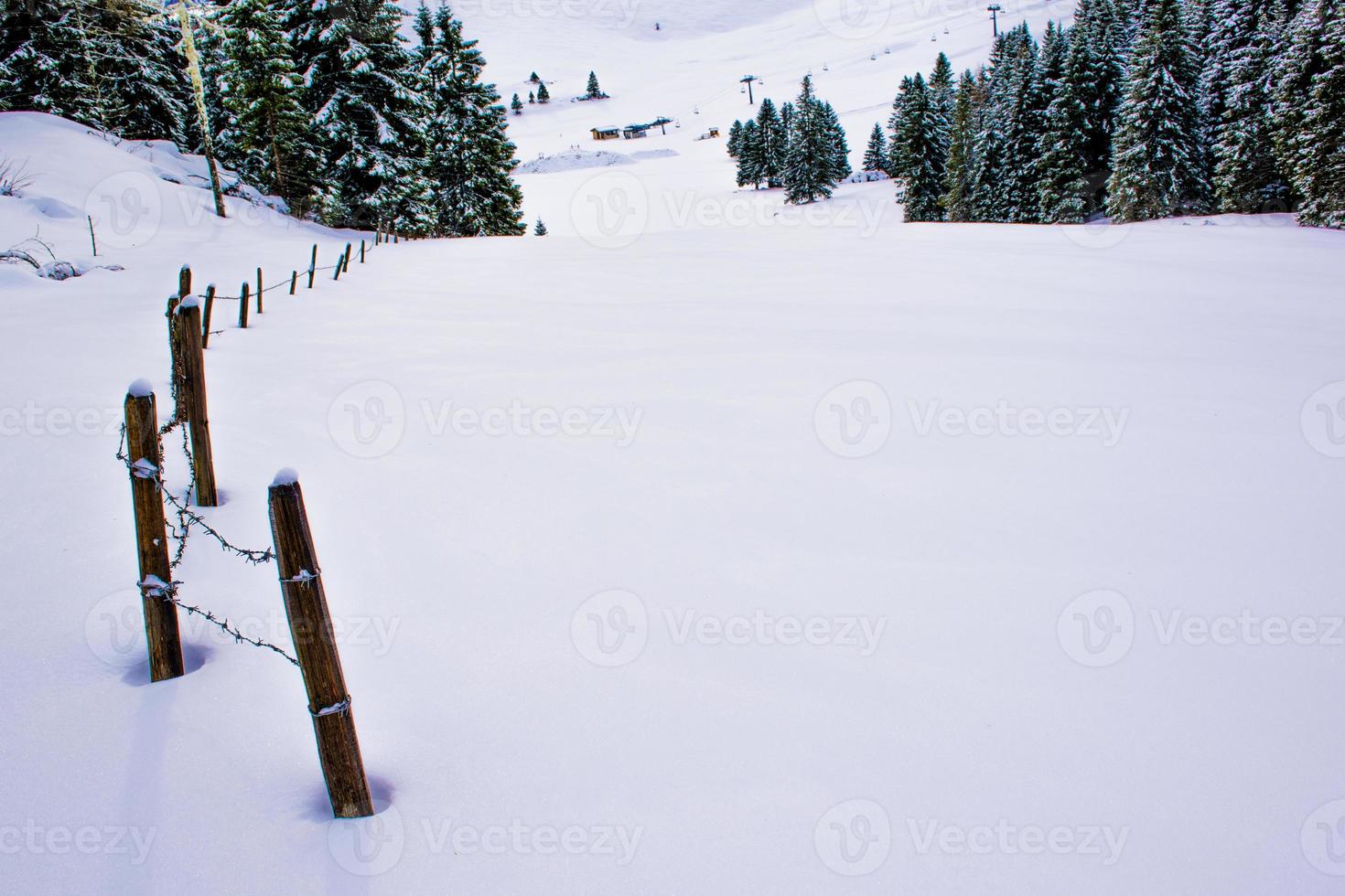 snöig vinterlandskap foto