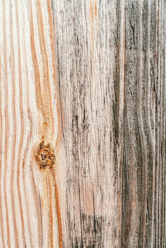 naturlig bakgrund med de textur av ett gammal sjaskig träd. foto