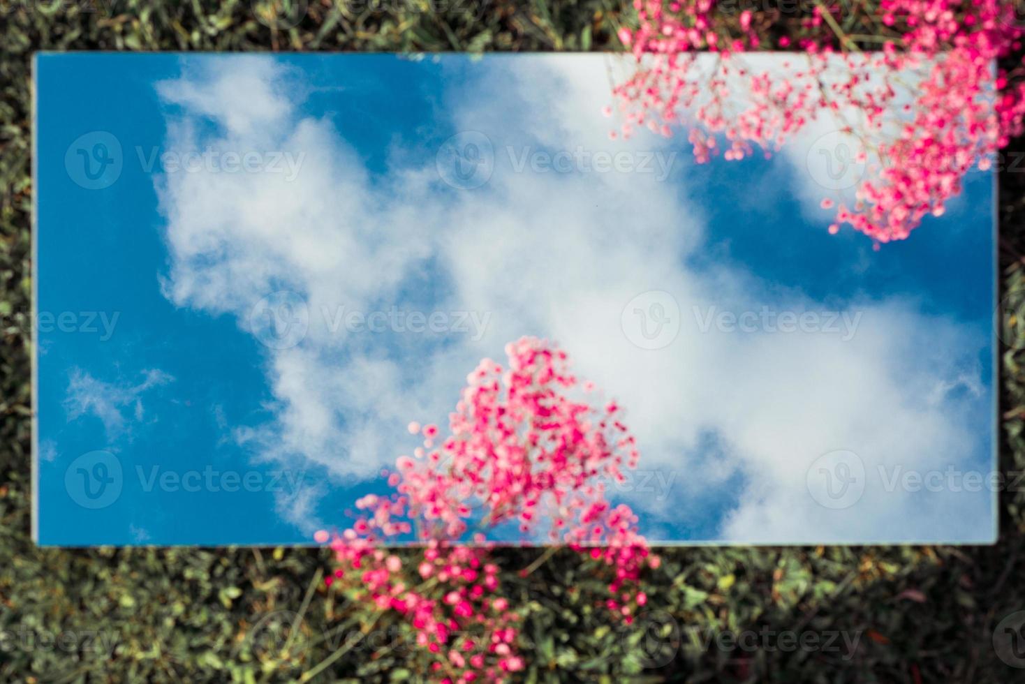 fantastisk lägenhet låg med himlen på en spegel rosa blommor och gräs foto
