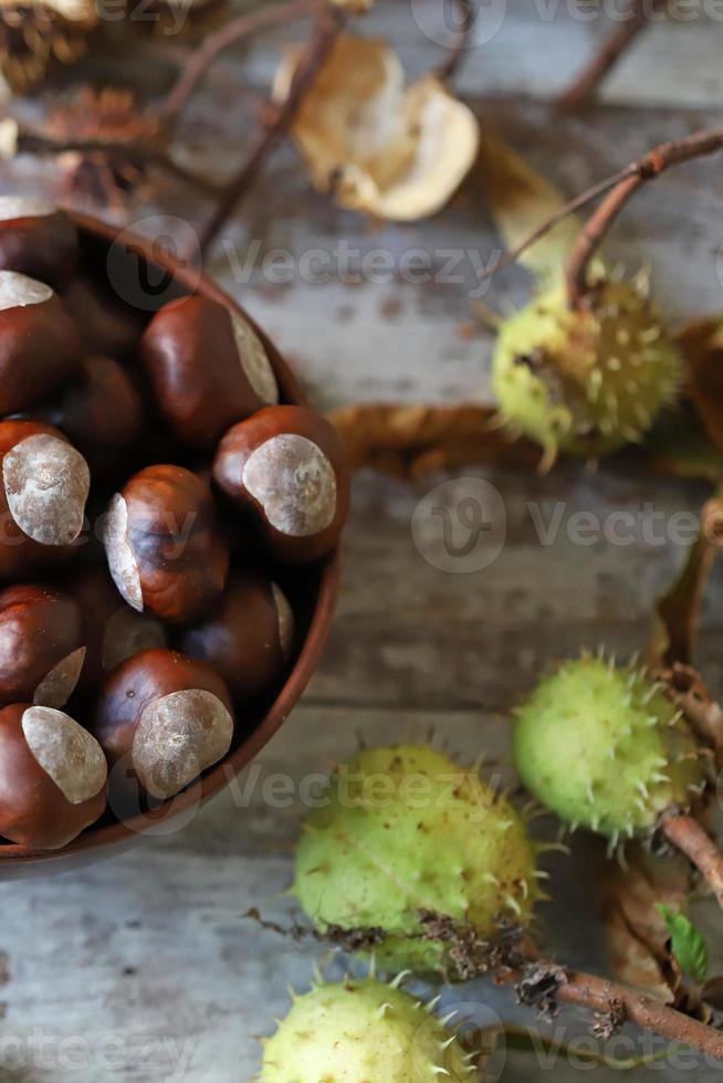 kastanjer och buckeyes i höststemning foto