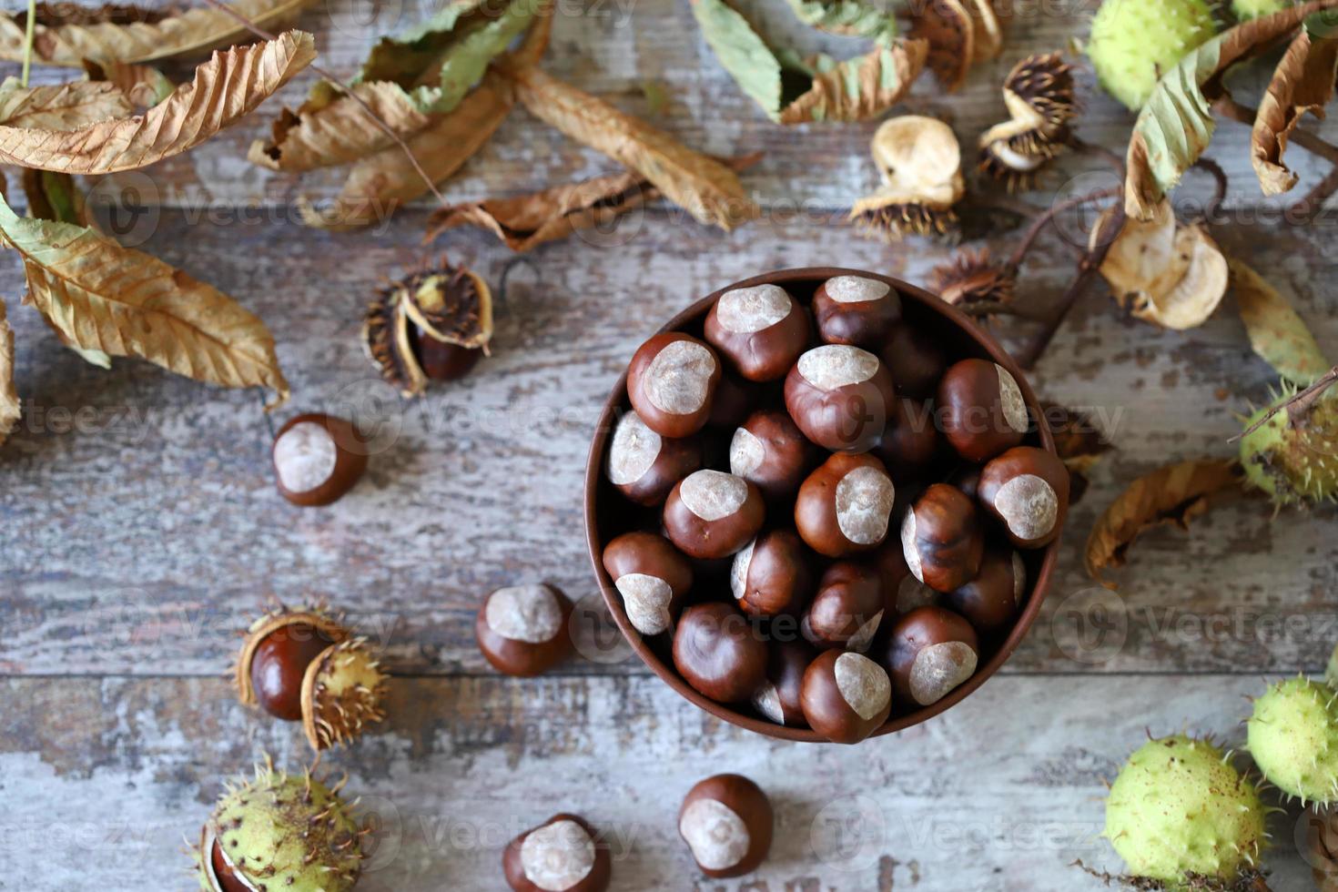 kastanjer och buckeyes i höststemning foto