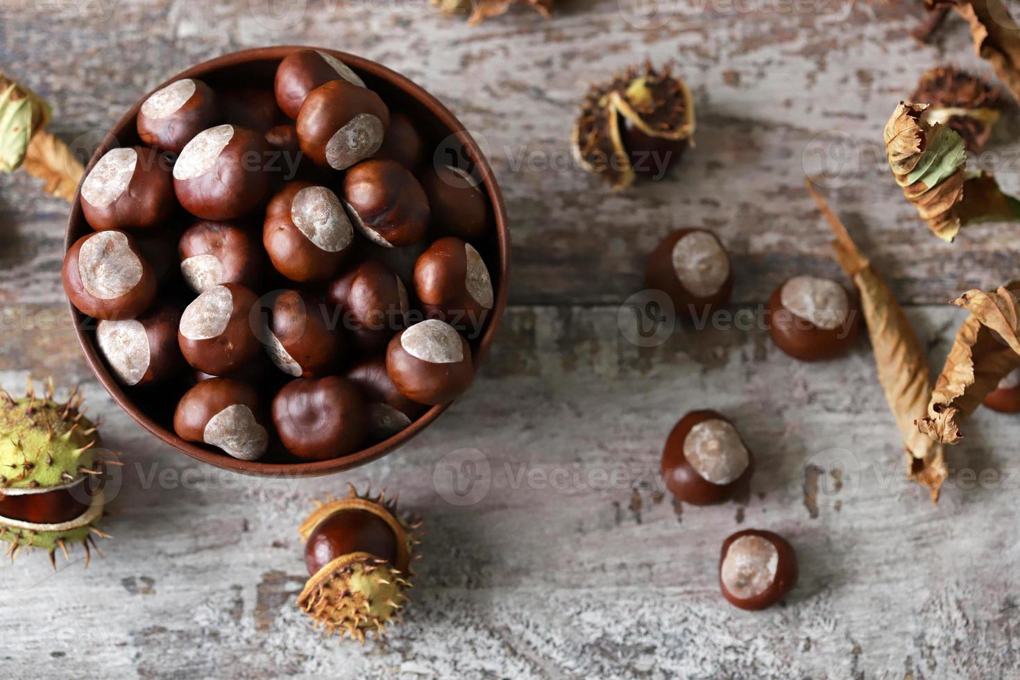 kastanjer och buckeyes i höststemning foto