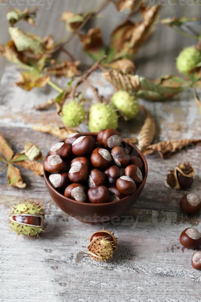 kastanjer och buckeyes i höststemning foto